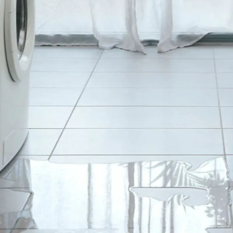 Appliance Leak Cleanup in Callahan, FL