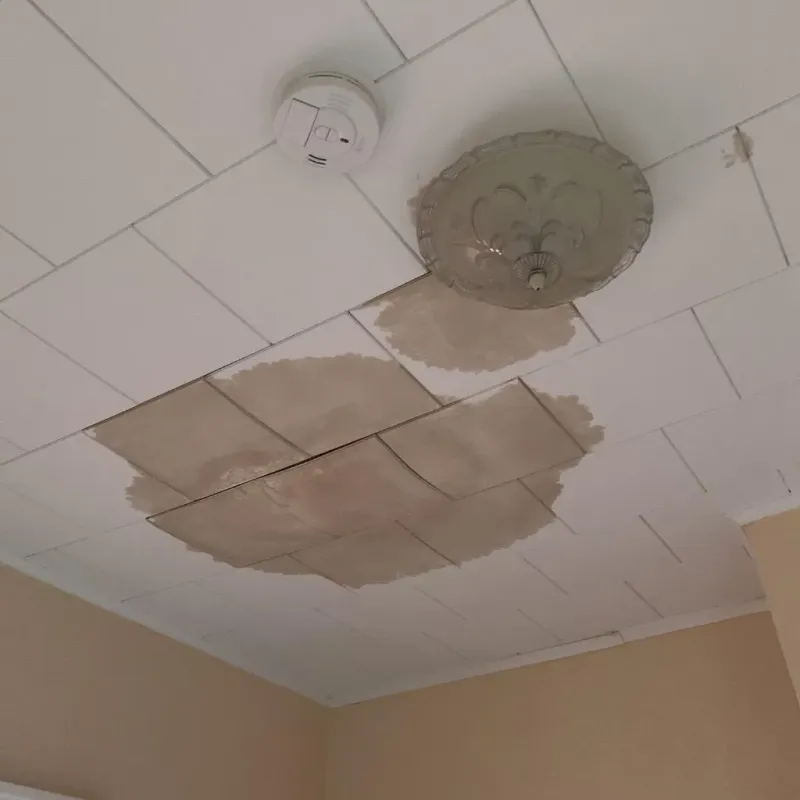 Ceiling Water Damage Repair in Callahan, FL